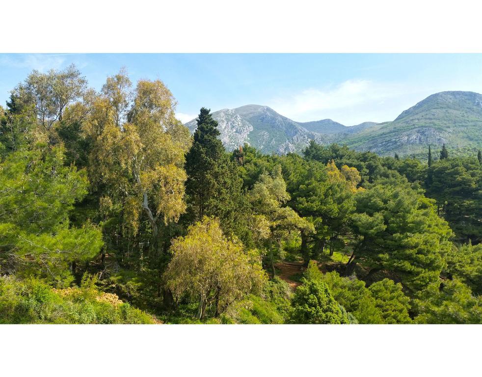 Ratac Eco Guest House Sutomore Exterior foto